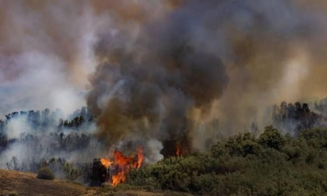 اندلاع عدد من الحرائق بمستوطنات غلاف غزة بفعل البالونات الحارقة
