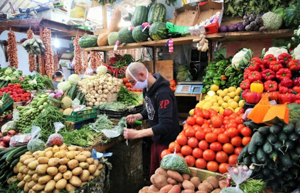 الزراعة بغزة توقف تصدير الخضروات للخارج مؤقتًا
