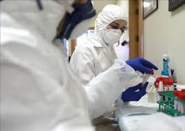 غزة: تسجيل (179) إصابة جديدة بفيروس كوروناخلال الـ 24 ساعة الماضية