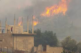 تونس تُسيطر على أكثر من 90 بالمئة من حرائق الغابات
