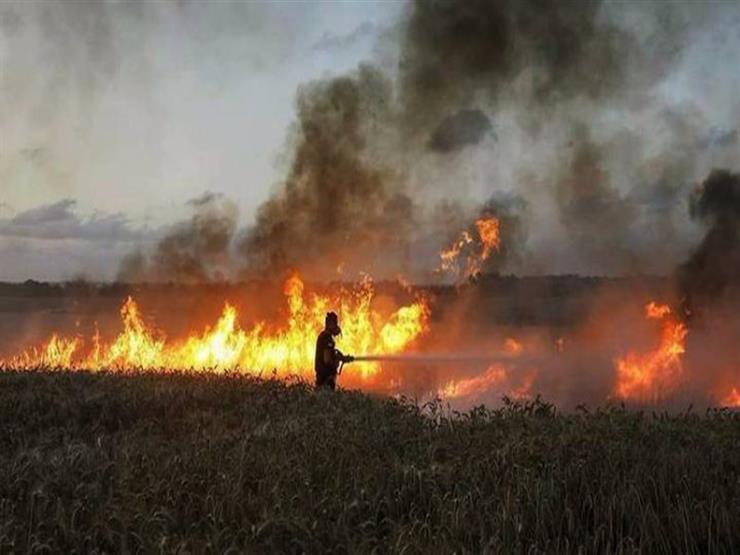 اندلاع عدة حرائق بمستوطنات غلاف غزة بفعل البالونات الحارقة