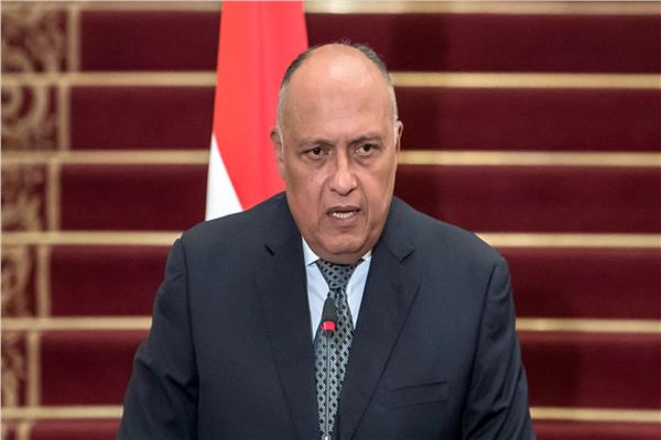 وزير الخارجية المصري يبحث مع نظيره التونسي التحرك العربي في مجلس الأمن  